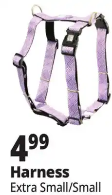 Ocean State Job Lot Harness offer