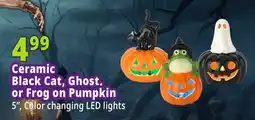 Ocean State Job Lot Ceramic Black Cat, Ghost, or Frog on Pumpkin offer
