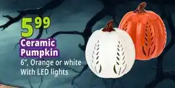 Ocean State Job Lot Ceramic Pumpkin offer