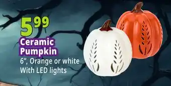 Ocean State Job Lot Ceramic Pumpkin offer