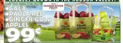 Bravo Supermarkets GALA PAULA RED GINGER GOLD APPLES offer