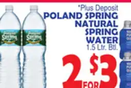 Bravo Supermarkets POLAND SPRING NATURAL SPRING WATER offer