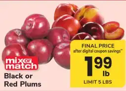 ACME Black or Red Plums offer