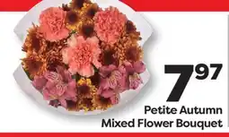 Weis Markets Petite Autumn Mixed Flower Bouquet offer