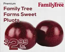 DeCicco & Sons Premium Family Tree Farms Sweet Pluots offer
