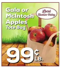 DeCicco & Sons Gala or McIntosh Apples offer