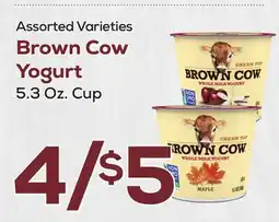 DeCicco & Sons Brown Cow Yogurt offer