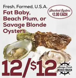 DeCicco & Sons Fat Baby Beach Plum, or Savage Blonde Oysters offer