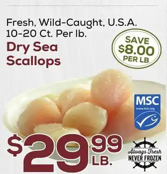 DeCicco & Sons Dry Sea Scallops offer