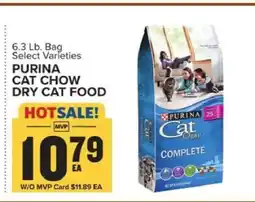 Food Lion Purina Cat Chow Dry Cat Food offer