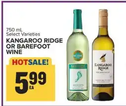 Food Lion Kangaroo Ridge or Barefoot Wine offer