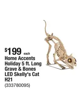 The Home Depot Home Accents Holiday 5 ft. Long Grave & Bones LED Skelly's Cat H21 offer