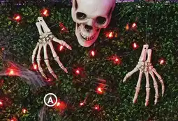 Family Dollar Glowin the Dark or Skeleton Bones Yard Stakes offer