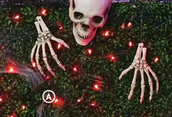 Family Dollar Glowin the Dark or Skeleton Bones Yard Stakes offer