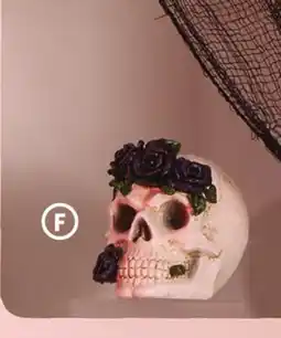 Family Dollar Floral Skull Décor offer