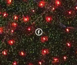 Family Dollar Garland Light Sets offer