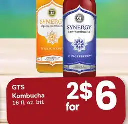 ACME GTS Kombucha offer
