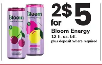 ACME Bloom Energy offer