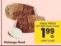 ACME Malanga Root offer