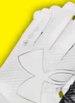 Big 5 Under Armour F9 Receiver Adult Gloves offer