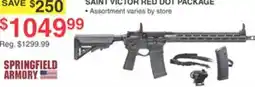 Dunham's Sports SPRINGFIELD ARMORY SAINT VICTOR RED DOT PACKAGE offer