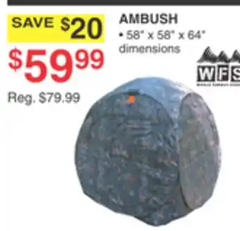 Dunham's Sports AMBUSH offer