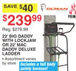 Dunham's Sports 22' BIG DADDY WITH LOCKJAW OR 22' MAC DADDY DELUXE LADDER offer