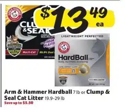 Winn Dixie Arm & Hammer Hardball or Clump & Seal Cat Litter offer