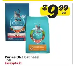 Winn Dixie Purina ONE Cat Food offer