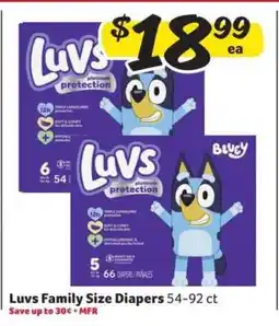 Winn Dixie Luvs Family Size Diapers offer