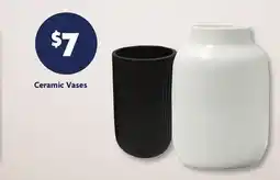 Family Dollar Ceramic Vases offer