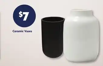 Family Dollar Ceramic Vases offer