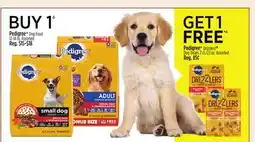 Dollar General Pedigree Dog Food offer