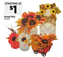 Dollar General Harvest Floral offer