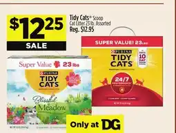 Dollar General Tidy Cats Scoop Cat Litter offer