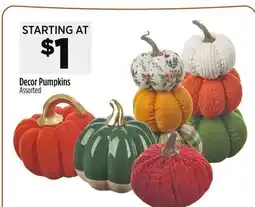 Dollar General Decor Pumpkins offer