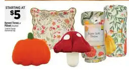 Dollar General Harvest Throws or Pillows offer