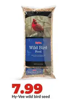 Hy-Vee Hy-Vee wild bird seed offer