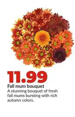 Hy-Vee Fall mum bouquet offer
