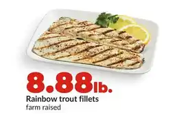 Hy-Vee Rainbow trout fillets offer