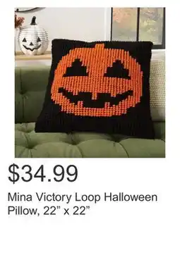 Costco Mina Victory Loop Halloween Pillow, 22 x 22 offer