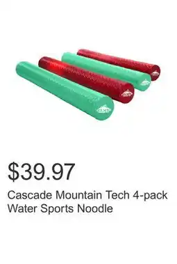 Costco Cascade Mountain Tech 4-pack Water Sports Noodle offer