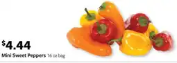 Fareway Mini Sweet Peppers offer