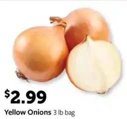 Fareway Yellow Onions offer