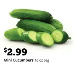 Fareway Mini Cucumbers offer