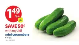 Lidl mini cucumbers offer