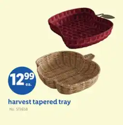 Lidl harvest tapered tray offer