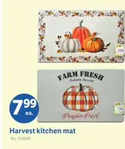Lidl Harvest kitchen mat offer
