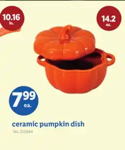 Lidl ceramic pumpkin dish offer