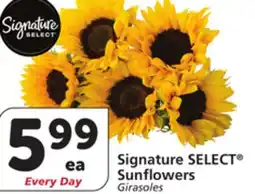 Vons Signature SELECT Sunflowers offer